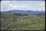 Western Highlands: tea plantation