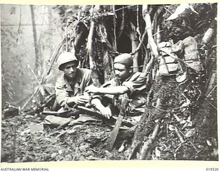 1943-08-11. NEW GUINEA. MOUNT TAMBY FIGHTING. PTE. GILBERT IRINS, OF MICHIGAN, AND SIG. LORRIE FELL, OF RANDWICK, N.S.W., REST IN THEIR "HOME" MADE IN A TREE TRUNK ON THE SIDE OF MOUNT TAMBU. FELL ..