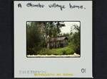A Chimbu village home
