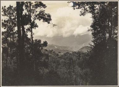 Scenes at Ononge [view from a mountain through trees] Frank Hurley