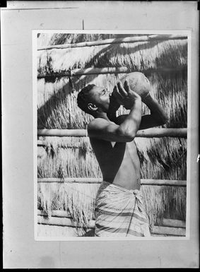 Unidentified Pacific Island man drinking from a coconut