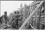 House-building for Rappaports: men in barkcloth caps add stakes and pandanus leaf siding to wall