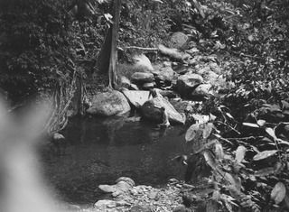 ILOLO - KOKODA, NEW GUINEA. 1944-04-30. NX167902 SIGNALMAN J.J. MORGAN (1), AND NX91218 SIGNALMAN G. BEANCHOP (2), WATCH SMALL FISH IN THEIR BATHING POOL AT CAMP 44, 18TH AUSTRALIAN LINES OF ..