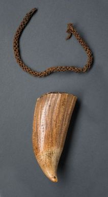 Tabua (Ceremonial whale tooth)