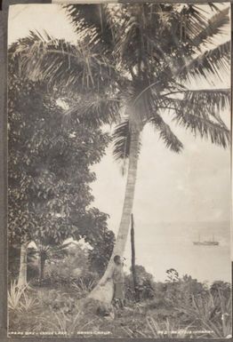 Urers Bay, Vanua Lava, Banks Group