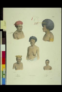 [Portraits of five Papuans] de Sainson pinx.; A. Maurin lith