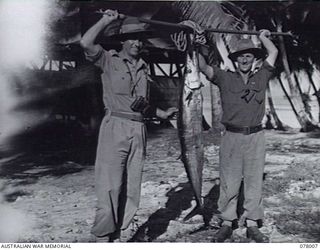 SAMPUN, NEW BRITAIN. 27 DECEMBER 1944. VX63919 LIEUTENANT COLONEL (LT COL) W B MAGUIRE, GSO 1, 5 DIVISION (1) ASSISTS VX108122 LT COL E. A. GRIFFIN, ASSISTANT ADJUTANT AND QUARTERMASTER-GENERAL, ..