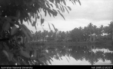 View of river