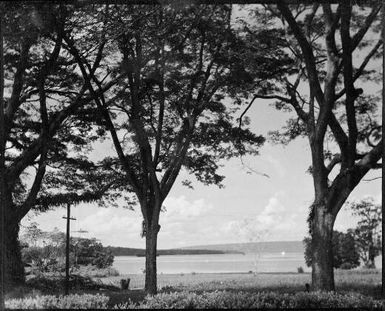 Harbour view with a power pole, Malaguna Road, Rabaul, New Guinea, ca. 1929 / Sarah Chinnery