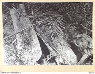 TOROKINA AREA, BOUGAINVILLE. 1945-08-12. A BUNKER SHOWING THE RESULT OF SHELLFIRE FROM AN M24 GENERAL CHAFFEE LIGHT TANK DURING TRIALS CONDUCTED FOR THE WAR OFFICE