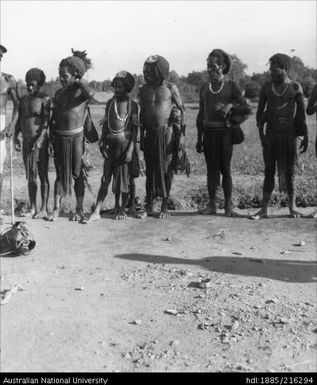 Individuals from Casaralli, Schrader Range