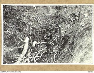 DUMPU, NEW GUINEA. 1943-12-06. NATIVES EMPLOYED BY THE 18TH AUSTRALIAN ANTI-MALARIAL CONTROL UNIT CLEARING RUBBISH AND TREES FROM A CREEK BED SO AS TO ALLOW THE WATER TO FLOW FREELY