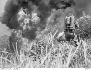 WEWAK AREA, NEW GUINEA, 1945-05-10. PTE A.L. WILLETT, 2/8 INFANTRY BATTALION, USING THE FLAME THROWER IN THE ACTION AGAINST THE JAPANESE