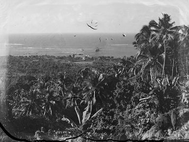 [View from a palm-tree covered hill towards the coast]