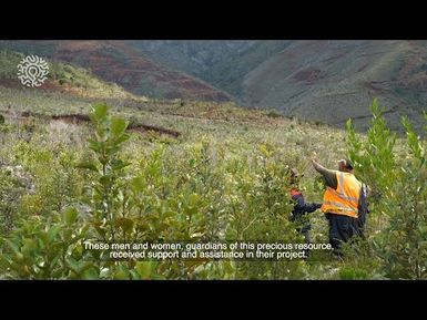 Préserver les bassins versants d'eau potable de la Nouvelle-Calédonie (Bilan 3 ans après)