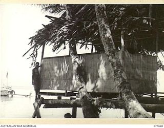 JACQUINOT BAY, NEW BRITAIN. 1944-12-13. A NATIVE TYPE HUT BEING BUILT ON THE EDGE OF THE BAY FOR THE ASSISTANT ADJUTANT AND QUARTERMASTER GENERAL, 5TH DIVISION