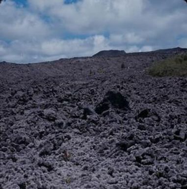 [Stereocaulon on Hawaii Island, United States]