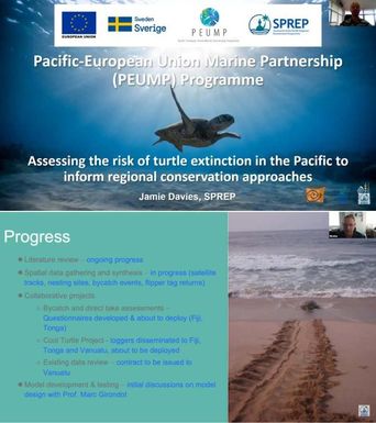 Session 33: Assessing the Risk of Turtle Extinction in the Pacific to Inform Regional Conservation Approaches
