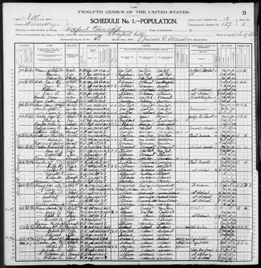 Illinois: WINNEBAGO County, Enumeration District 137, Sheet No. 3B