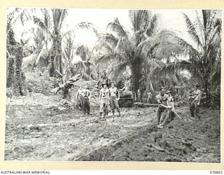 JACQUINOT BAY, NEW BRITAIN. 1944-11-07. TROOPS OF THE 14/32ND INFANTRY BATTALION BUILDING A ROAD THROUGH THE MUD IN THE AREA CONTROLLED BY THE 6TH INFANTRY BRIGADE. IDENTIFIED PERSONNEL ARE: ..