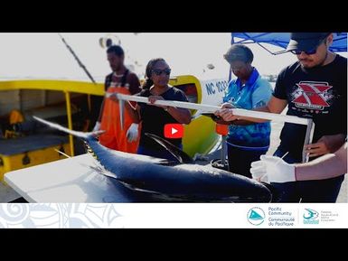 Island women doing fisheries science - Samoan experience