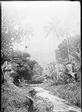 River winding through jungle, Fiji, ca. 1920, 1 / E.W. Searle