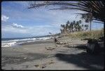 Beach landscape