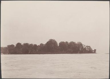 Coast of Pileni viewed from the reef, Reef Islands, Swallow Group, Solomon Islands, 1906 / J.W. Beattie