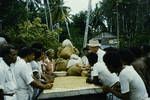 Inspecting coffee, Milne Bay