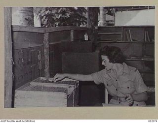 LAE, NEW GUINEA, 1945-05-20. PRIVATE M. CURRAN, AWAS, WORKING IN THE ORDERLY ROOM, HQ AUSTRALIAN ARMY CANTEENS SERVICE