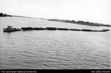 Nausori Mill - transporting cane to Nausori Mill, by punt, on Rewa River