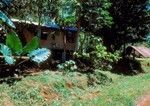 Rodmans house from road, Waileni