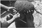 Pig festival, wig ritual, Tsembaga: man's hair is attached to wig frame