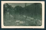 View of Bulolo Gold Dredging mine power house camp, with Bulolo River on right, Bulolo, New Guinea, c1932 to 1933