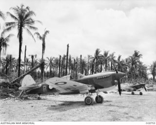 LOS NEGROS ISLAND, ADMIRALTY ISLANDS. 1944-03-08. RAAF KITTYHAWK AIRCRAFT IN A DISPERSAL BAY BUILT BY THE JAPANESE AT MOMOTE. IN THE BACKGROUND ARE COCONUT PALMS BLASTED BY THE INTENSIVE BOMBING ..