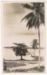 Jetty bridge of police station, Kavieng, 1 Jun 1939