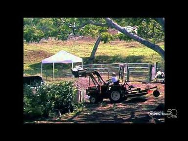 PBS Hawaii - HIKI NŌ Episode 209 | Kealakehe High School | Three-Ring Ranch