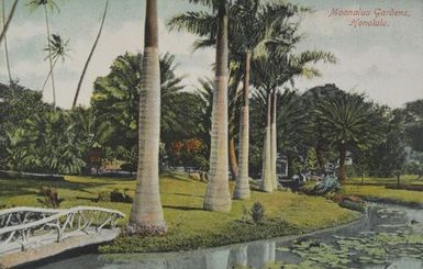 Moanalua Gardens, Honolulu (from Albert Ellis Ocean Island Photograph Album)