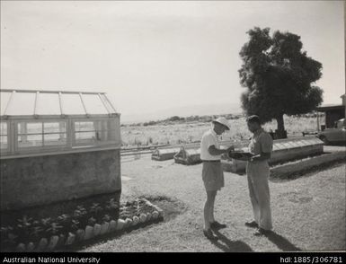 Cane Nursery