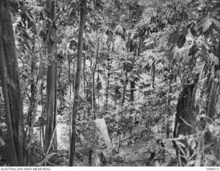 RAMALE MISSION, KOKOPO AREA, NEW BRITAIN. 1945-09-16. VIEW LOOKING DOWN ON THE MISSION, THE HOME OF 158 INTERNEES, MOSTLY ROMAN CATHOLIC MISSIONARIES, SINCE 1944-06. FOLLOWING THE SURRENDER OF THE ..