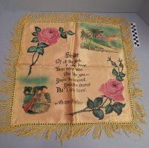 Souvenir Pillow Cover
