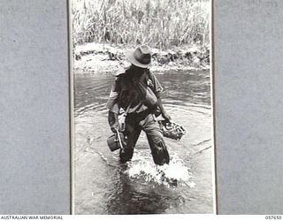 RAGITSUMA, NEW GUINEA, 1943-09-30. NATIVE BOY WEARING AUSTRALIAN CLOTHES, COMPLETE WITH SERGEANT'S STRIPES, CROSSING A CREEK IN THE 7TH AUSTRALIAN DIVISION AREA