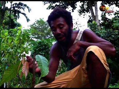 COCOA FARMERS HARDSHIP