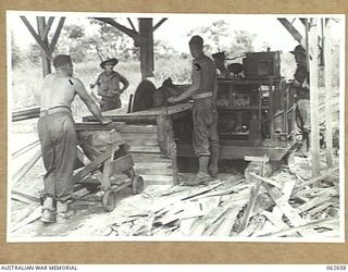 RAMU VALLEY, NEW GUINEA. 1943-12-21. PERSONNEL OF THE WORKSHOP PLATOON, 53RD AUSTRALIAN FIELD PARK COMPANY, ROYAL AUSTRALIAN ENGINEERS, 7TH AUSTRALIAN DIVISION, CUTTING TIMBER FOR BRIDGE ..