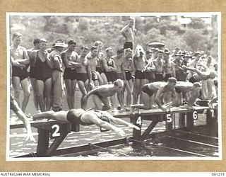 PORT MORESBY, NEW GUINEA. 1943-11-28. START OF THE MEN'S 66 YARDS BREAST STROKE FINAL AT THE ALLIED SERVICES GRAND SWIMMING CARNIVAL. THIS EVENT WAS WON BY PRIVATE IMRAY WITH PRIVATE CRUISE SECOND