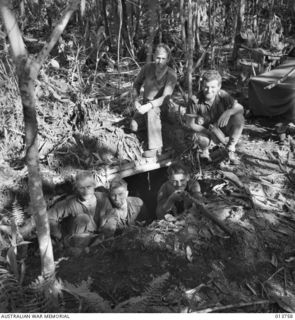 NEW GUINEA. OUTSIDE GONA, AUSTRALIAN TROOPS IN A CAPTURED JAPANESE DUGOUT