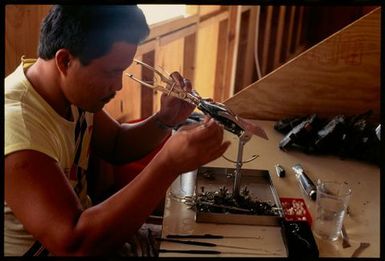 Tahitian technician Michel Yip implanting nucleus into an oyster, Manihiki, Cook Islands