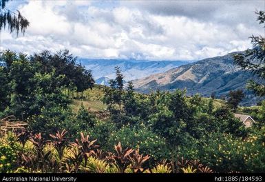 Okapa Post - Okapa Post (Pintagori) P. S.E