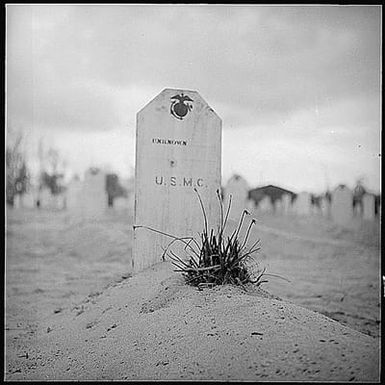 Clump of weeds on grave of unknown Marine at Saipan, placed there by a comrade in arms.