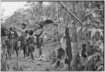 Pig festival, uprooting cordyline ritual, Tsembaga: men and boys in men's house compound, awaiting removal of taboo on playing drums (lined up in background)